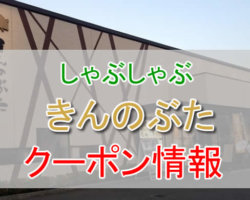 きんのぶたの割引クーポン情報！公式LINEのクーポンや1,000円割引を活用しよう！